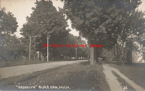 Burr oak michigan rppc - mi,, michigan,